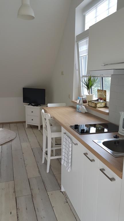 Inga Vacation House Druskininkai Esterno foto